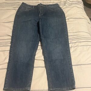 Talbots Petites Dark Blue Stretch Denim (Size 8)